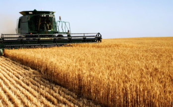 How Diesel Generators Are Helping The Agriculture Industry?